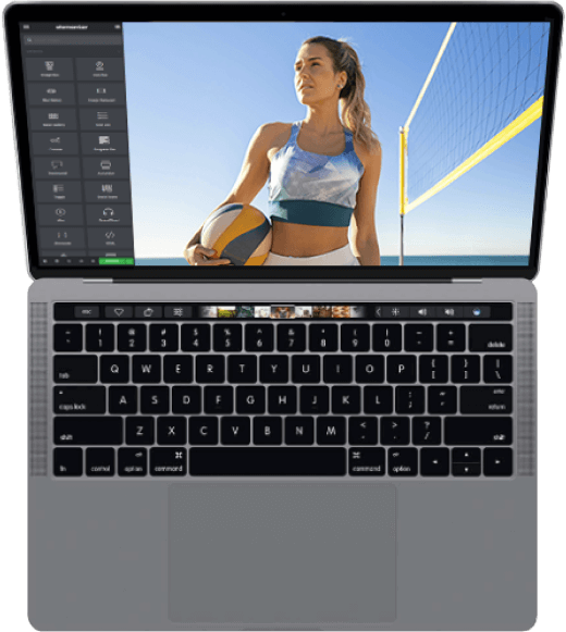 Flexible Theme Options