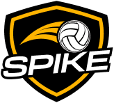 Spike